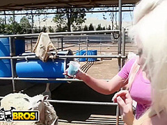 Zoo Trip With - Mia Lelani, Angel Vain And Britney Amber