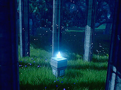 A Mysterious Ritual