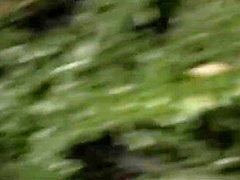 A Hot Night - Anastasia Kessler