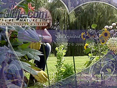 Ass Injected With With Gina Gerson