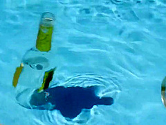 Victoria June And J Mac - The Brunette By The Pool Showed The Waiter Big Milkings And Spread Him