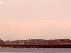 Excellent Adult Scene Youve Seen