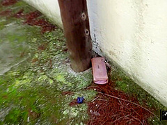 Penelope Cross In Missing Wallet Reward
