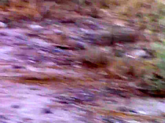 Hottest Sex Scene Exclusive Only For You