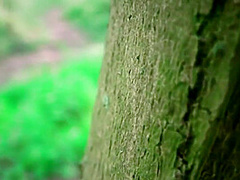 Christie Starr And Tattooed Teen In Sexy Banged In The Forest