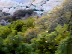 Hottest Sex Clip New Uncut