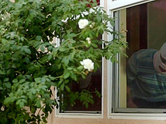 Ashley Adams In Is Spied On By The Pool By A Horny Creep