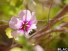 Gorgeous Redhead Has Passionate Poolside Sex On Pornhd With Jane Rogers