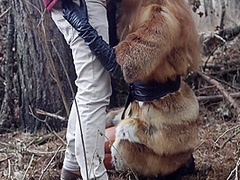 Caught In Forrest