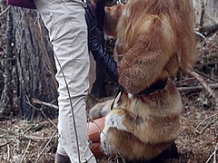 Caught In Forrest