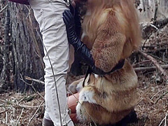 Caught In Forrest