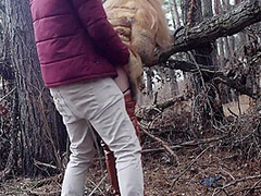 Caught In Forrest