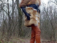 Caught In Forrest