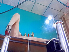 No Panties Sexretary. Try On White Transparent Pantyhose