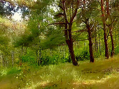 Cum Panties In Student Jerk Off Me After Lessons Cum In Panties And Pull Them Up 11 Min