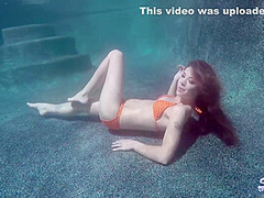 Lola Vaughn In Horny Xxx Scene Tattoo Only Here