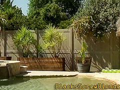 Savannah Bond And Chubby Blonde In Sucks And Anally Rides Bbc