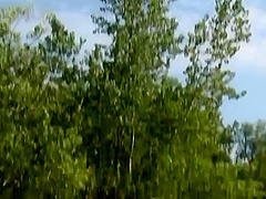 Eila Adams - And Amber Reed Naked Workout