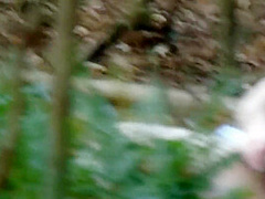 Hunter Finds Girl Masterbating In The Woods