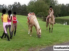 At The Stables (remastered) 11 Min - Lesbian Orgy