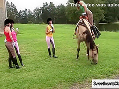 At The Stables (remastered) 11 Min - Lesbian Orgy