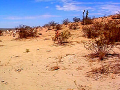 Is Squirt Girl 4k - Briana Banks