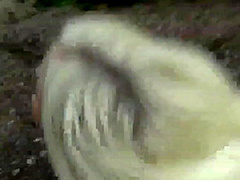 Sharon-privat - Uns 3 Porno-pussys Wieder Erkannt, Spontaner Fick Mit 2 Fremd