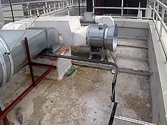 Lustful Bitch Almost Swallowed A Guys Dick Right On The Street 10 Min