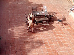 Couple Playing And Fucking In The Courtyard, Outside