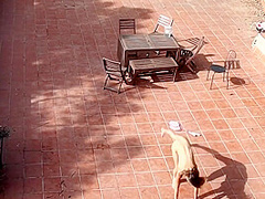 Couple Playing And Fucking In The Courtyard, Outside