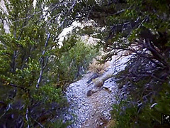 Hiker Hottie Aubree Facialed All Over Pov