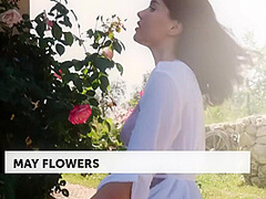 May Flowers