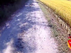 He Falls Off His Bike To Look At With Lady Muffin