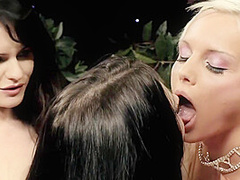 Three Curvy Babes Play With Toys And Forget About Dicks