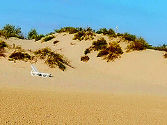 I Masturbating On The Beach