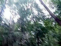 Oral And Facial In A Public Park - Almost Get Caught With Dread Hot