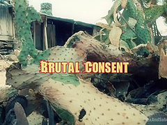 Brutal Consent With Lyla Storm And Casey Calvert