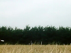 Unschuld Vom Lande (1978, German, Full Rip)