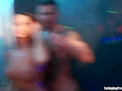 Seductive Party Hoes Fuck In Sex Orgy