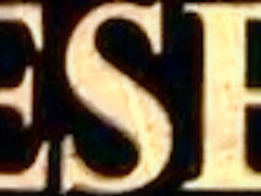 Brought His Stepsister To The Forest And Fucked Hard In Anal With Kate Rich