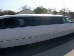 Big Fucking Assholes With Amy Reid