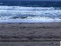 Juicy College Spring Break Hammered Big Cock - Holly Wood, Billy Glide And Heidi Hollywood