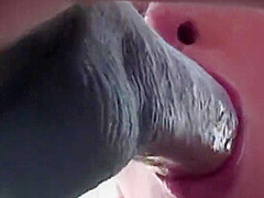 Gwen Summers - Excellent Porn Video Blonde Craziest Uncut