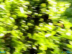 Beautiful Blue Eyed Girlfriend Takes Massive Public Facial Then Goes On A Cum Walk - Hannah Goode