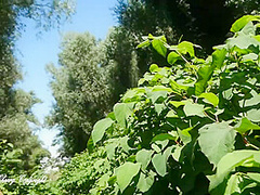 I Show Off And I Get Fucked Outside By A Voyeur With A Very Big Cock