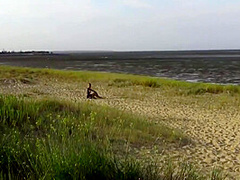 Lilou Beach Babe
