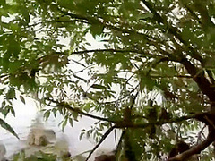 Bruada Hat Drausst Mei Fotzn Gleckt Und Eini Gfickt!