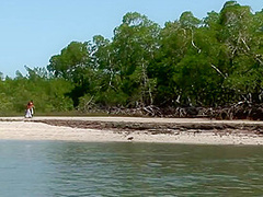 Sandi Beach - Sexxxotica-1 W Marcia