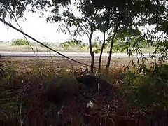 Nessa Viagem Transamos Gostoso E Tivemos A Aventura Perfeita. Teve Ate Cobra! 17 Min