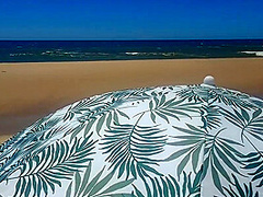 Dia De Playa Perfecto. Calientes Y Al Sol